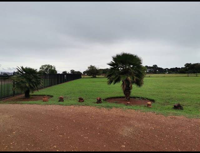 BUSINESS FOR SALE IN ROODIA